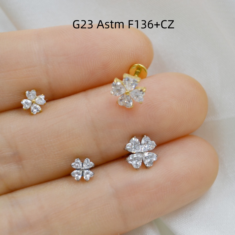 Body Jewelry Stores - AMIGATINA Großhandel 10 Stk. G23 Titan
