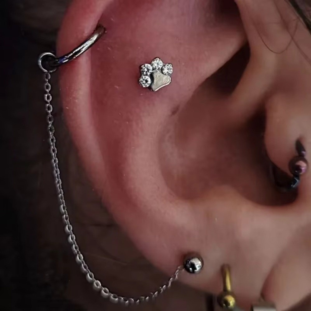 Titan-Nasenketten: Dreilagige  – Body Jewelry Nose Bewertung und Preis