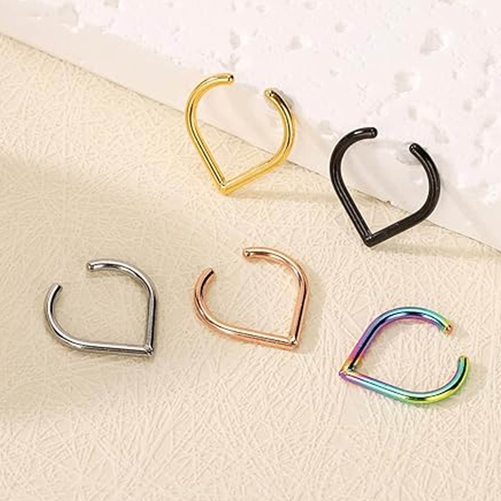 5-teiliges Edelstahl Fake Nase – Body Jewelry Cartilage Earrings Bewertung und Preis