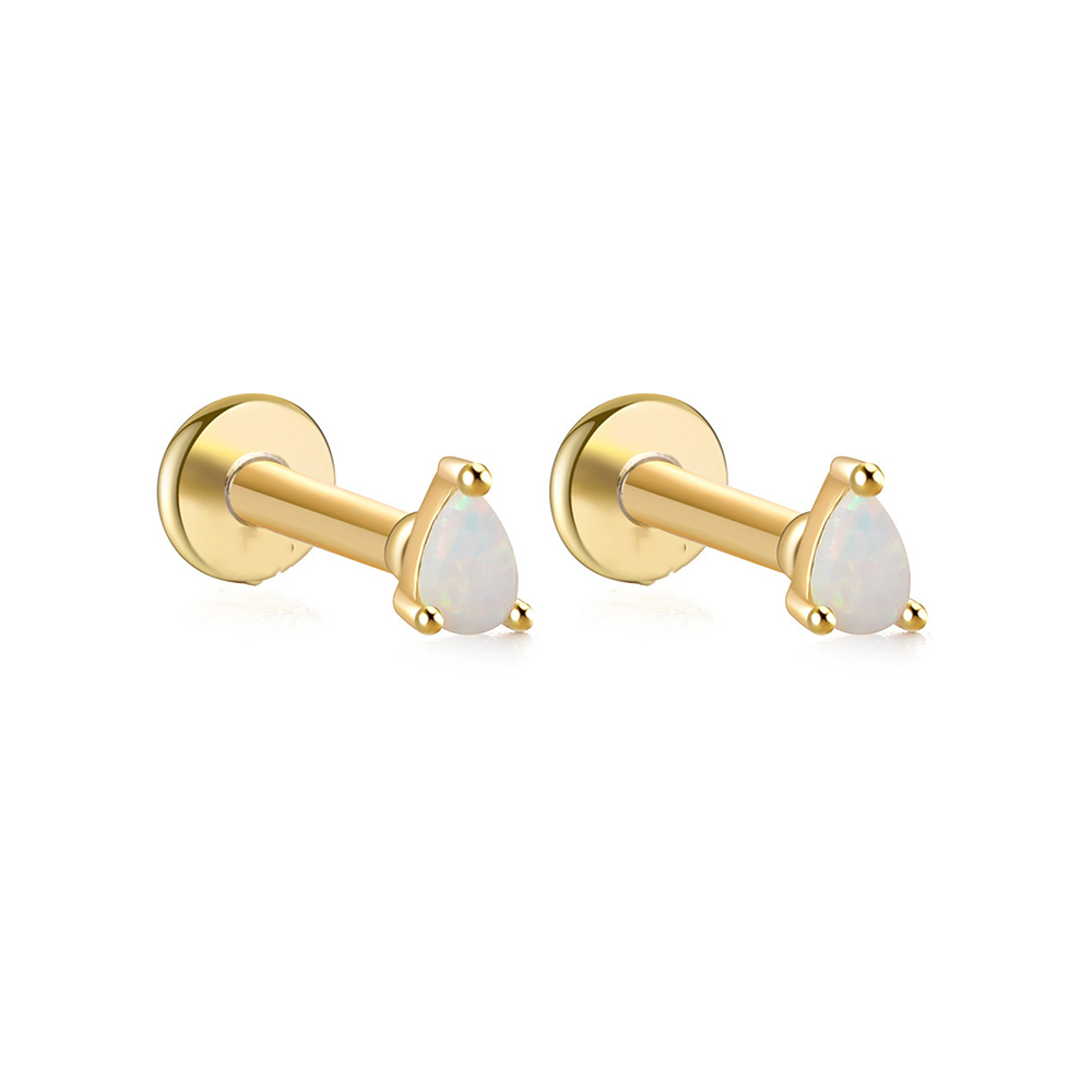 2PCS Edelstahl Opal Minimal Pi – Body Jewelry Cartilage Earrings Bewertung und Preis
